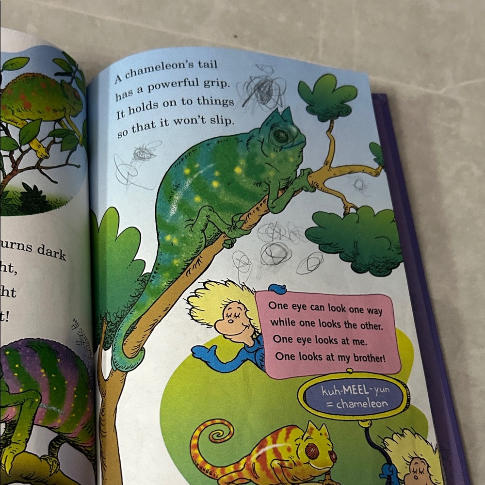 Dr. Seuss Learning Books Set - Blue, Yellow, Red Covers - Picture 4 of 6